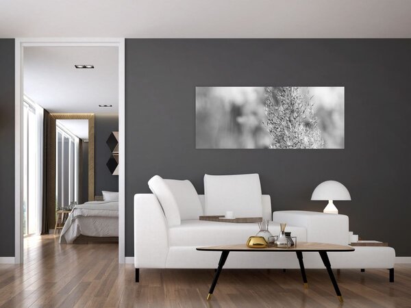 Kép - Boho pampafű (120x50 cm)