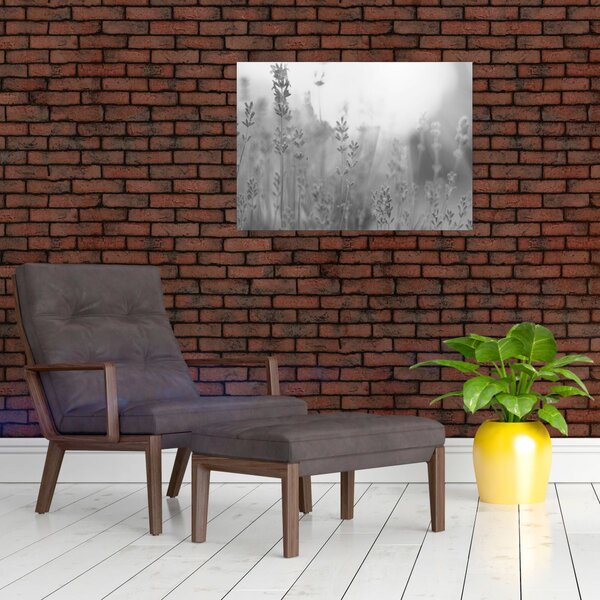 Kép - Levendula (70x50 cm)