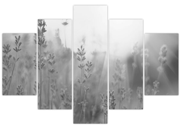 Kép - Levendula (150x105 cm)