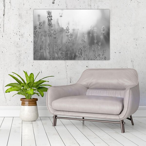 Kép - Levendula (90x60 cm)