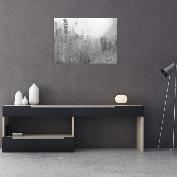 Kép - Levendula (70x50 cm)