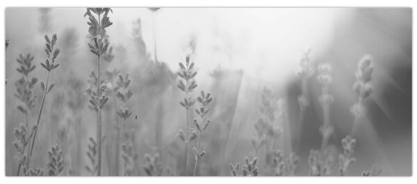 Kép - Levendula (120x50 cm)