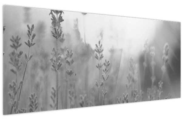 Kép - Levendula (120x50 cm)