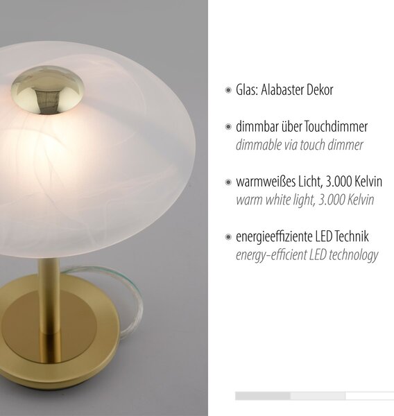 Paul Neuhaus glamour modern asztali lámpa enova barna pln4026-60