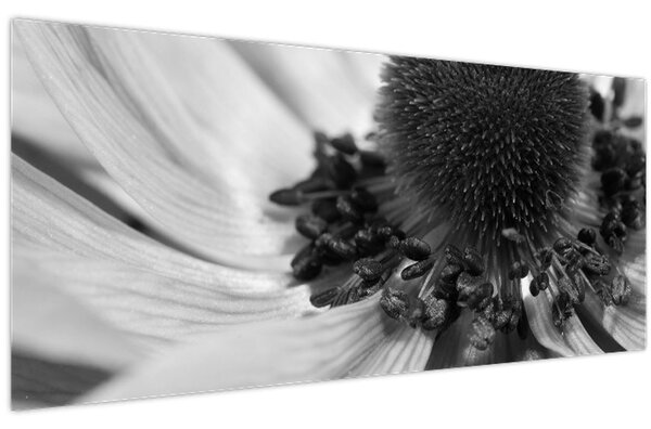 Kép - Virág fekete-fehérben (120x50 cm)