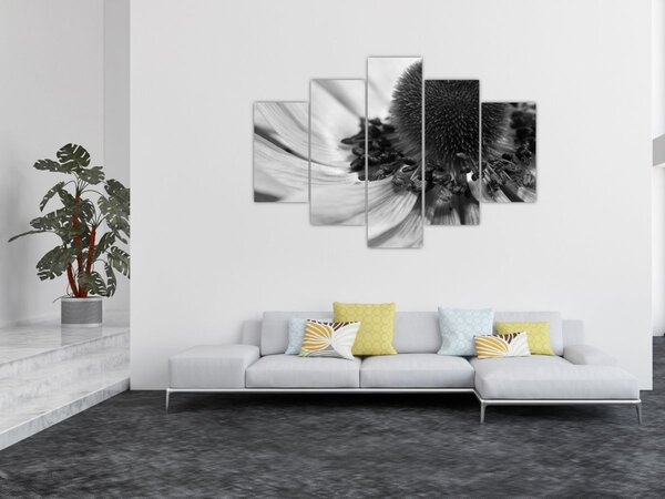 Kép - Virág fekete-fehérben (150x105 cm)