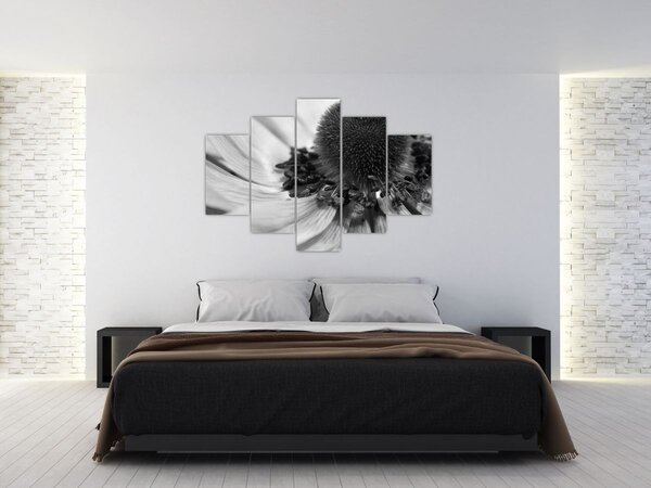Kép - Virág fekete-fehérben (150x105 cm)