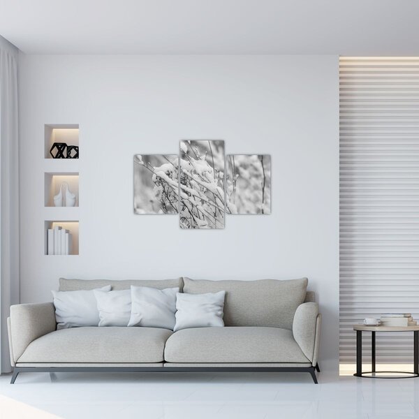 Kép - Havas ágak (90x60 cm)