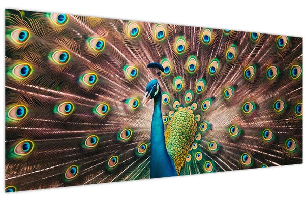 Kép - Páva (120x50 cm)