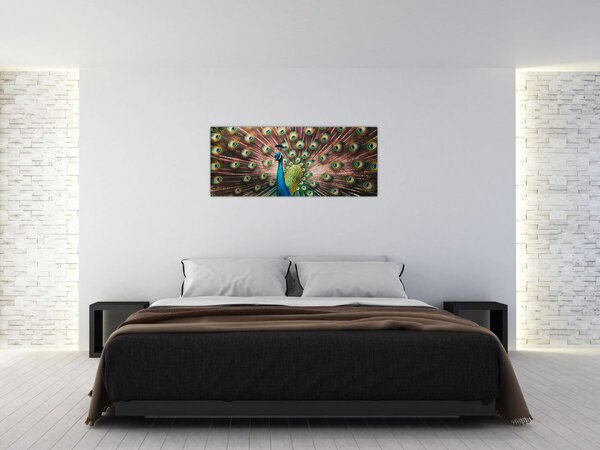 Kép - Páva (120x50 cm)