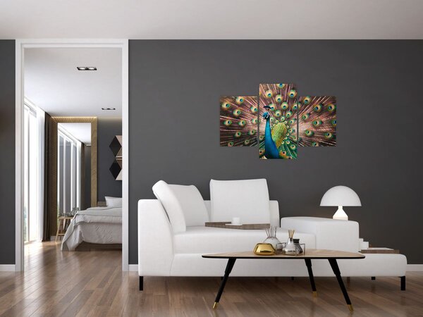 Kép - Páva (90x60 cm)