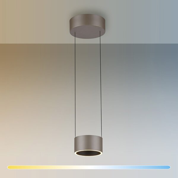 Paul Neuhaus modern függeszték pure clipse barna pln2471-97