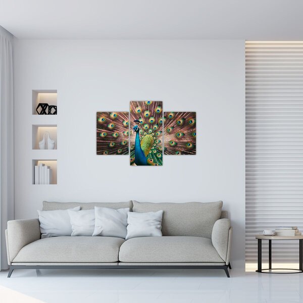 Kép - Páva (90x60 cm)