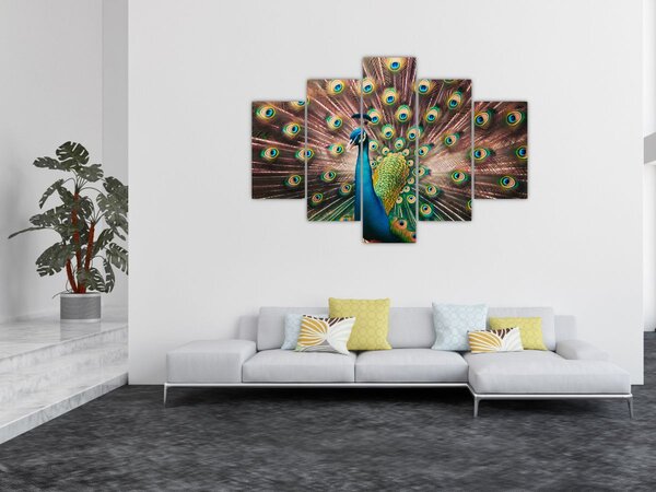 Kép - Páva (150x105 cm)