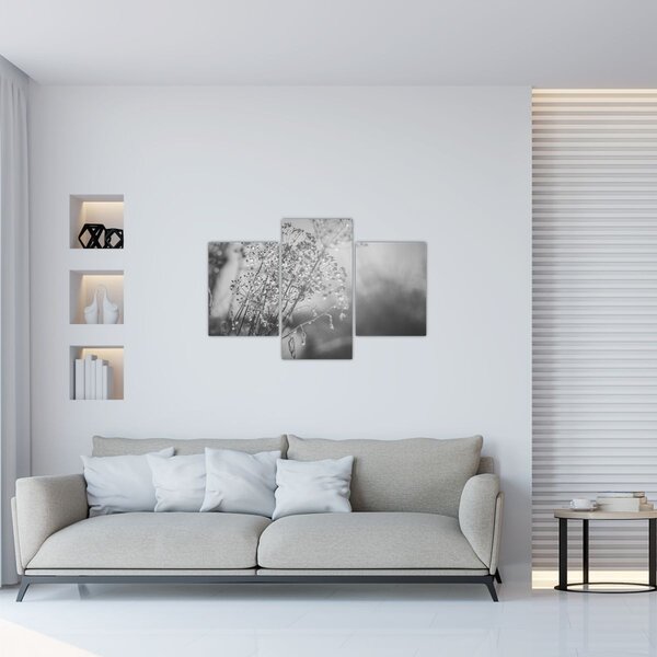 Kép - Mező az eső után (90x60 cm)