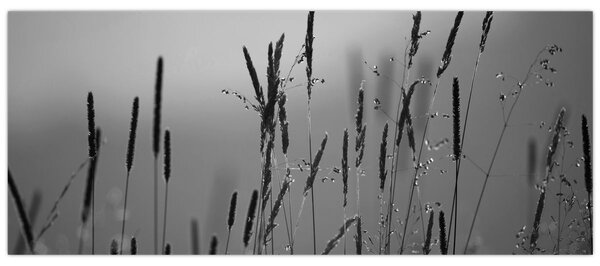 Kép - Fűszálak (120x50 cm)