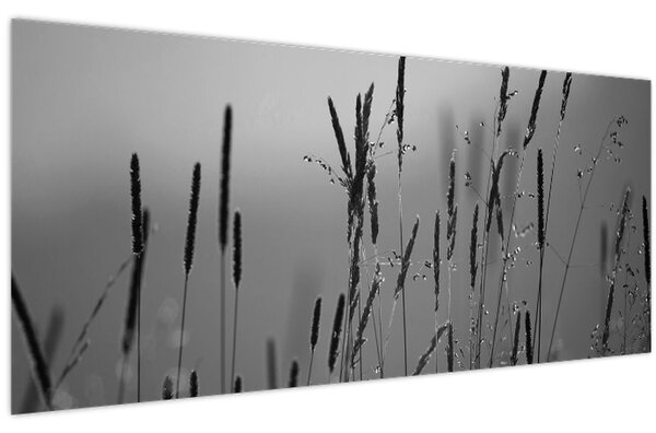 Kép - Fűszálak (120x50 cm)