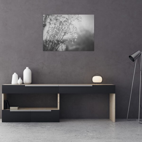 Kép - Mező az eső után (70x50 cm)