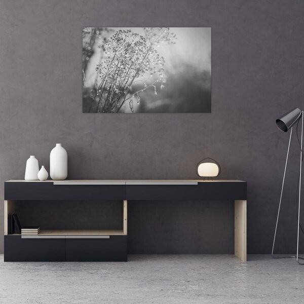 Kép - Mező az eső után (90x60 cm)