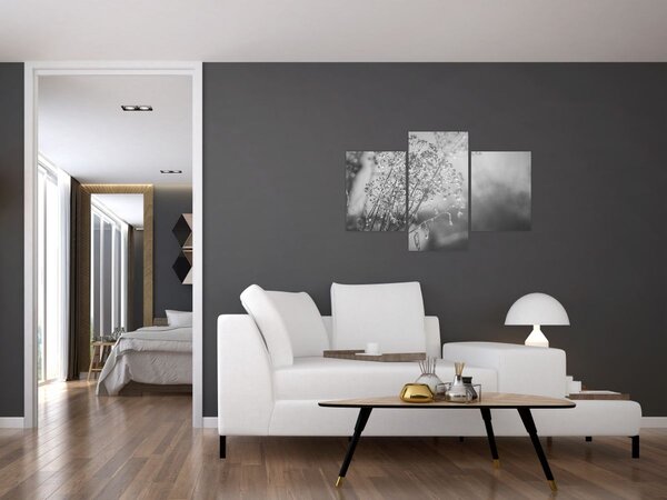 Kép - Mező az eső után (90x60 cm)
