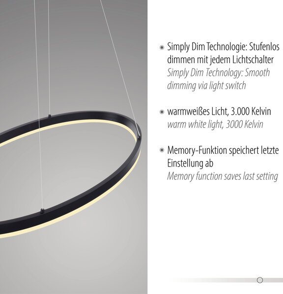 Paul Neuhaus modern függeszték titus antracit pln2392-13