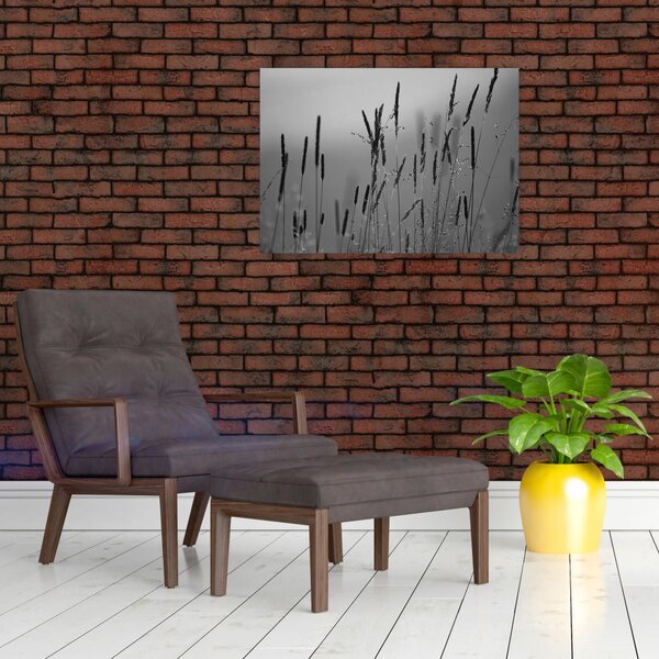 Kép - Fűszálak (70x50 cm)