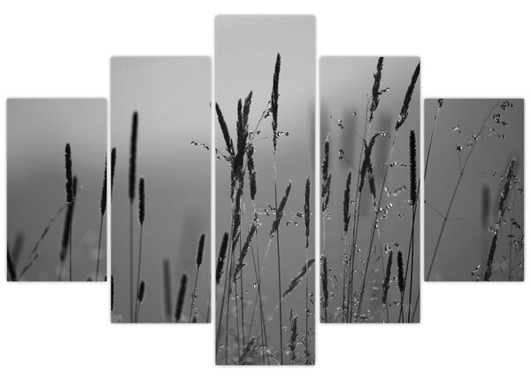 Kép - Fűszálak (150x105 cm)