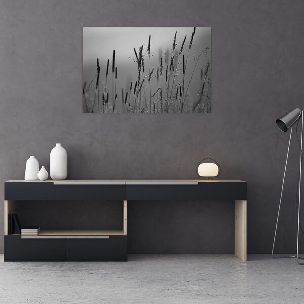 Kép - Fűszálak (90x60 cm)