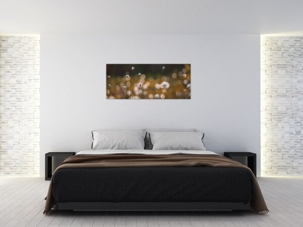 Kép - Gyapotfűvel borított rét N⁰2 (120x50 cm)
