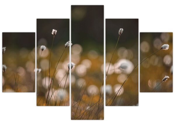 Kép - Gyapotfűvel borított rét N⁰2 (150x105 cm)