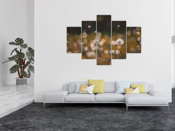 Kép - Gyapotfűvel borított rét N⁰2 (150x105 cm)