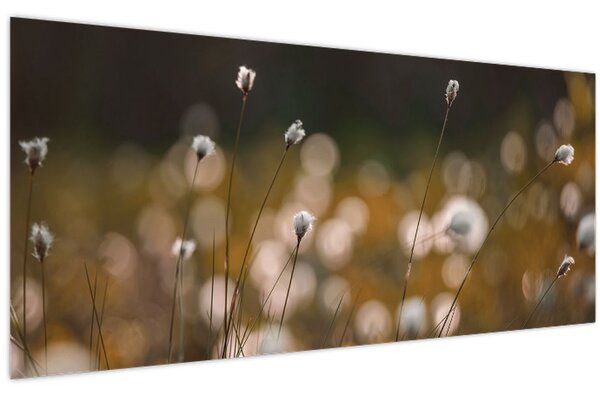 Kép - Gyapotfűvel borított rét N⁰2 (120x50 cm)