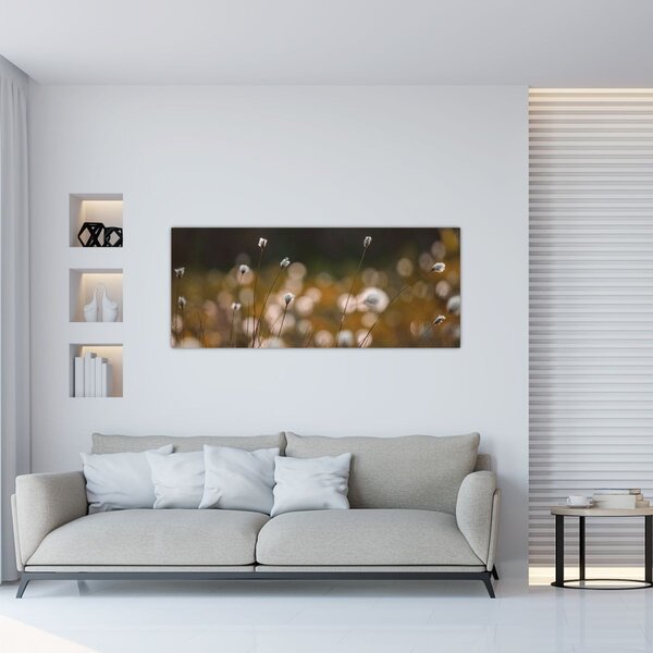 Kép - Gyapotfűvel borított rét N⁰2 (120x50 cm)