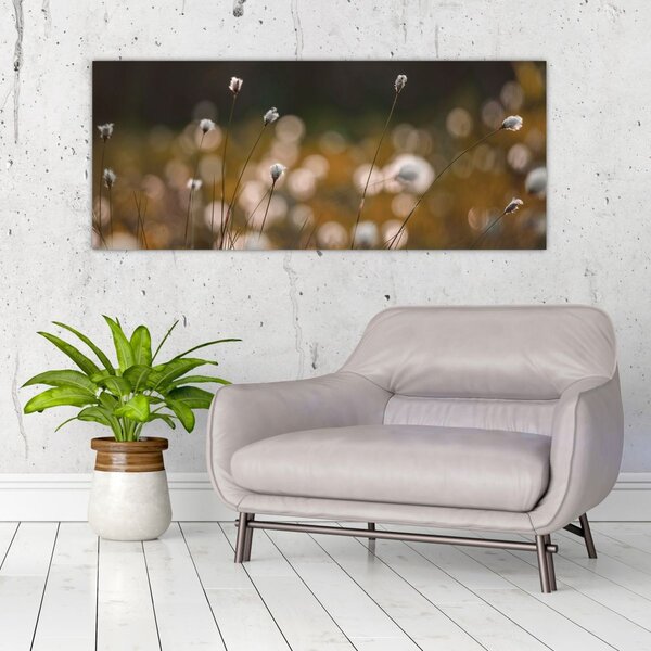 Kép - Gyapotfűvel borított rét N⁰2 (120x50 cm)