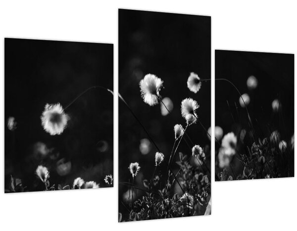 Kép - Gyapotfűvel borított rét N⁰1 (90x60 cm)