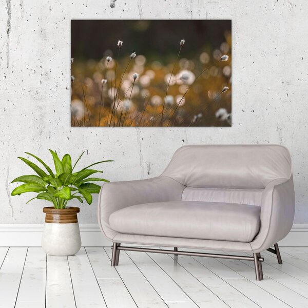 Kép - Gyapotfűvel borított rét N⁰2 (90x60 cm)