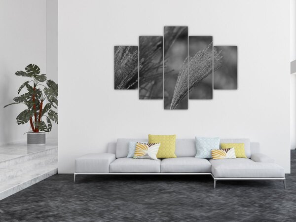 Kép - Szárított pampafű (150x105 cm)