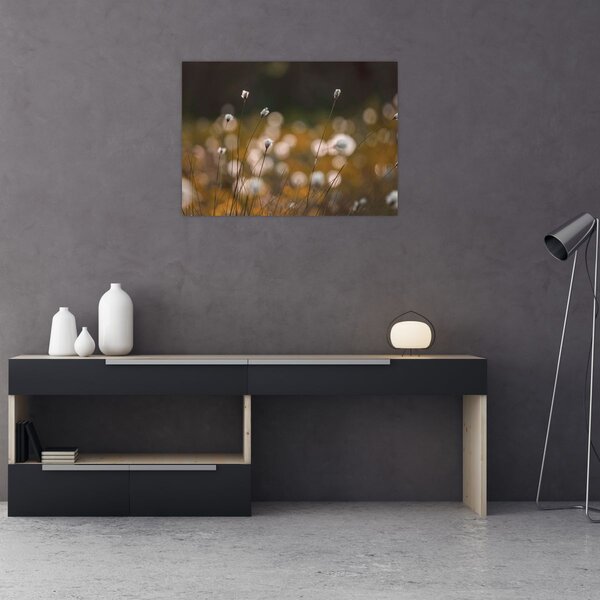 Kép - Gyapotfűvel borított rét N⁰2 (70x50 cm)
