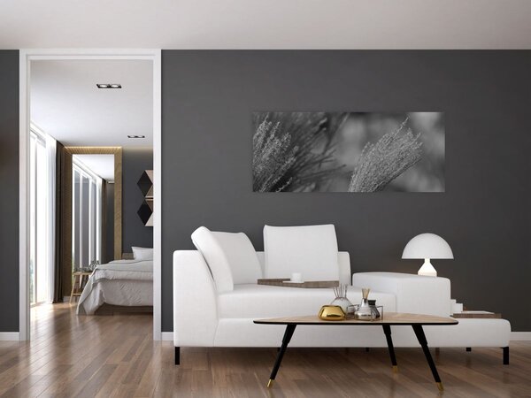 Kép - Szárított pampafű (120x50 cm)
