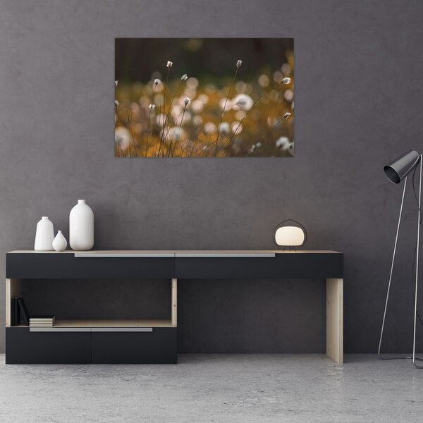 Kép - Gyapotfűvel borított rét N⁰2 (90x60 cm)