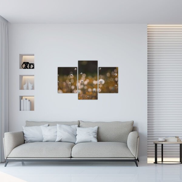 Kép - Gyapotfűvel borított rét N⁰2 (90x60 cm)