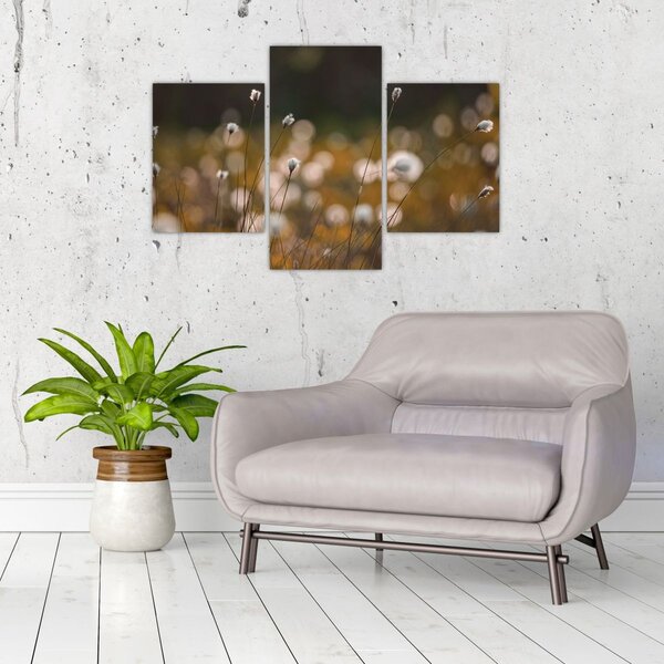 Kép - Gyapotfűvel borított rét N⁰2 (90x60 cm)