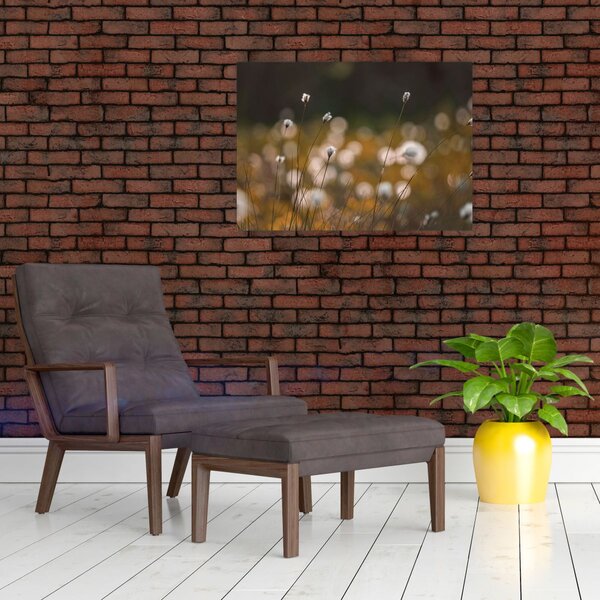 Kép - Gyapotfűvel borított rét N⁰2 (70x50 cm)