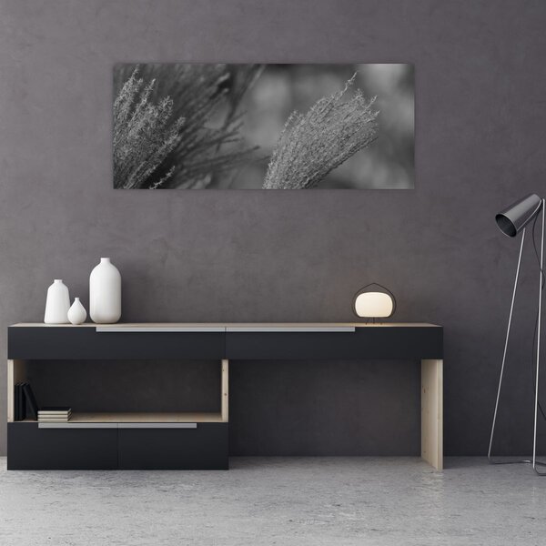 Kép - Szárított pampafű (120x50 cm)