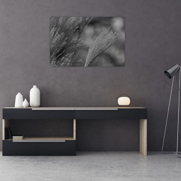Kép - Szárított pampafű (90x60 cm)