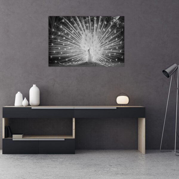 Kép - Fehér páva (90x60 cm)