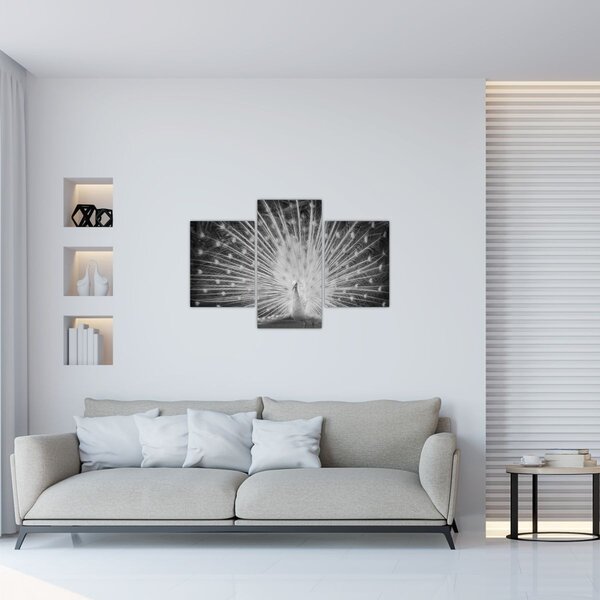 Kép - Fehér páva (90x60 cm)