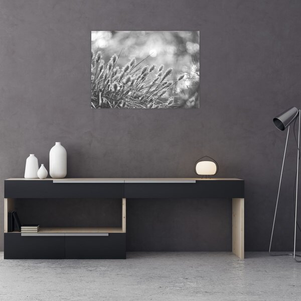 Kép - Bézs színű puha fű N⁰1 (70x50 cm)