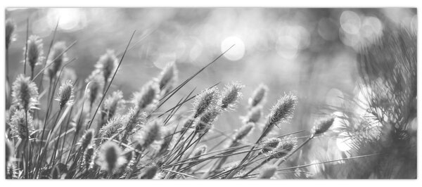 Kép - Bézs színű puha fű N⁰1 (120x50 cm)