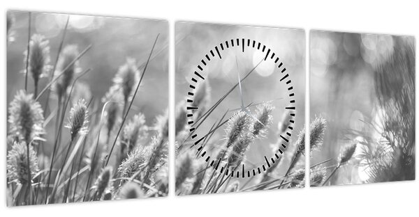Kép - Bézs színű puha fű N⁰1 (órával) (90x30 cm)